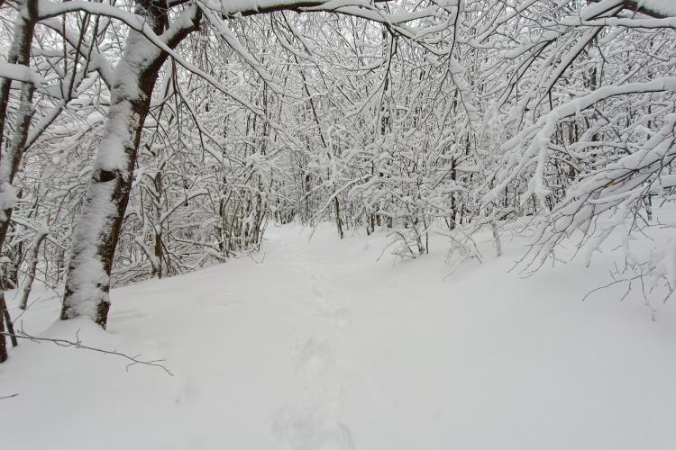 Felső-Mátra turistaút egy kiadósabb havazást követően