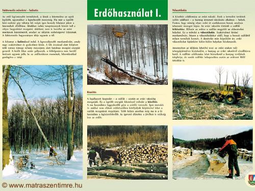 Tábla - Erdőhasználat I.