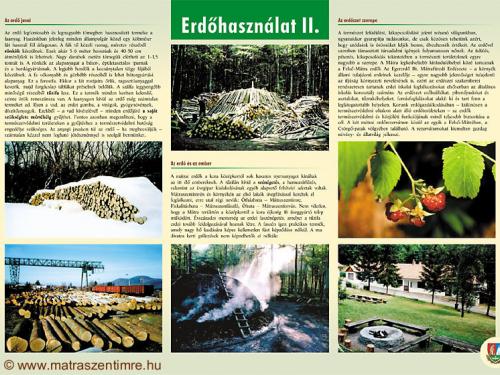 Tábla - Erdőhasználat II.