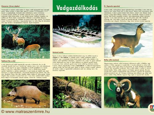 Tábla - Vadgazdálkodás