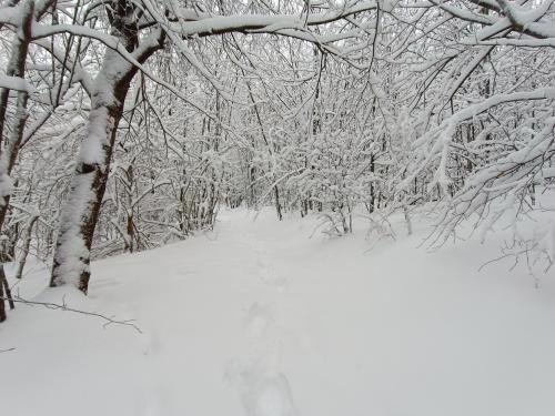 Felső-Mátra turistaút egy kiadósabb havazást követően